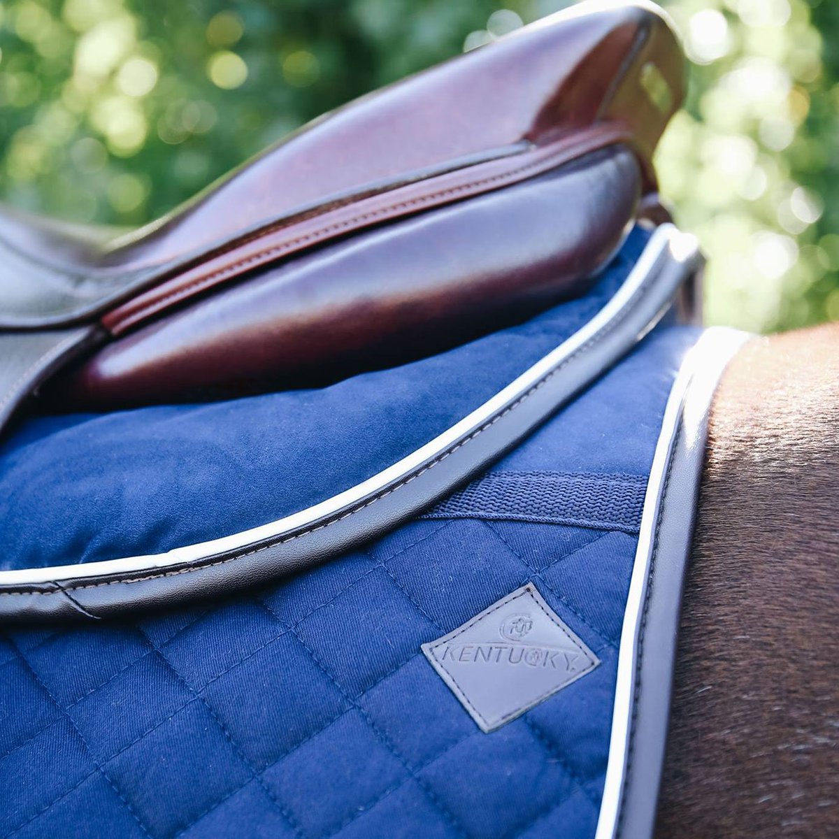 Equiport's tweet photo. ✨Kentucky Horsewear Intelligent Absorb Half Pad✨
Two different styles...
🖤 Thin, £151.99 -
https://t.co/zMRyNA1o7N
🖤 Thick, £159.99 - https://t.co/LzRnvH3Ijt
#Equestrian #Equiport #KentuckyHorsewear #NewProduct #HalfPad #MemoryFoam #Horsewear #NewIn #LatestProduct https://t.co/5xx7Zn5JPN