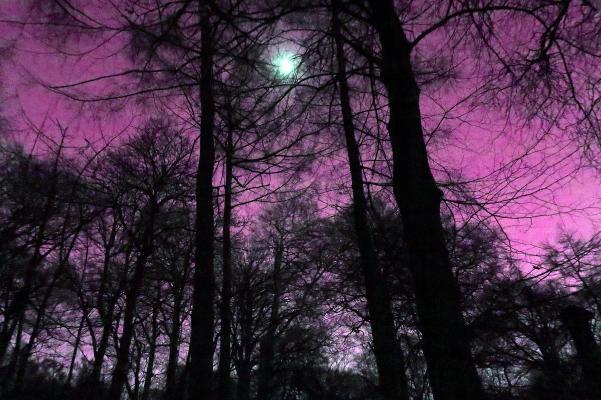 YSPsculpture's tweet photo. Press Release: Dillan Marsh and Eleanor Clare take inspiration from the Bretton Estate for a new GPS artwork at #YSP https://t.co/cU7tVvmpP2 #MarshAndClare #ysppress https://t.co/obk7ISwHxH