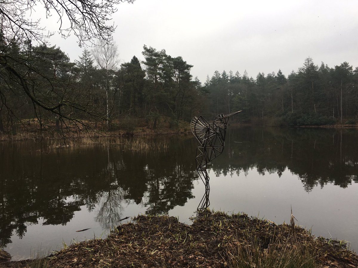 boswachtertinus's tweet photo. Vandaag hebben we ‘Ijsvogel’ officieel onthuld in de bosvijver van #Birkhoven. Dit kunstwerk is gemaakt door Amersfoortse kunstenaars #Koudekoffie en aan @UtrLandschap aangeboden door #Kultlab als blijk van waardering voor de goede samenwerking ihkv #ittw https://t.co/E5cBCtMbPi