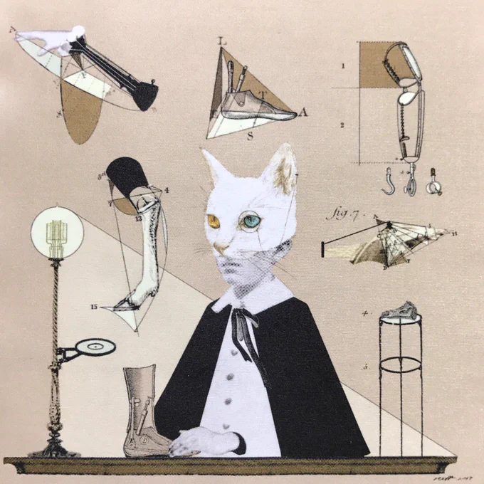 #猫の日 