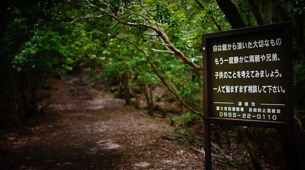 outlaw_mann's tweet photo. #SuicideForestJapan 
#eerie https://t.co/Vl6REQs4eS