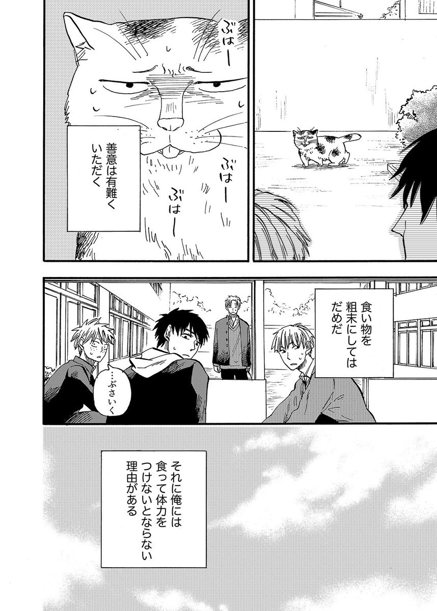 猫がブサイクだけどふぐりが立派なお話ωωω(2/4) 