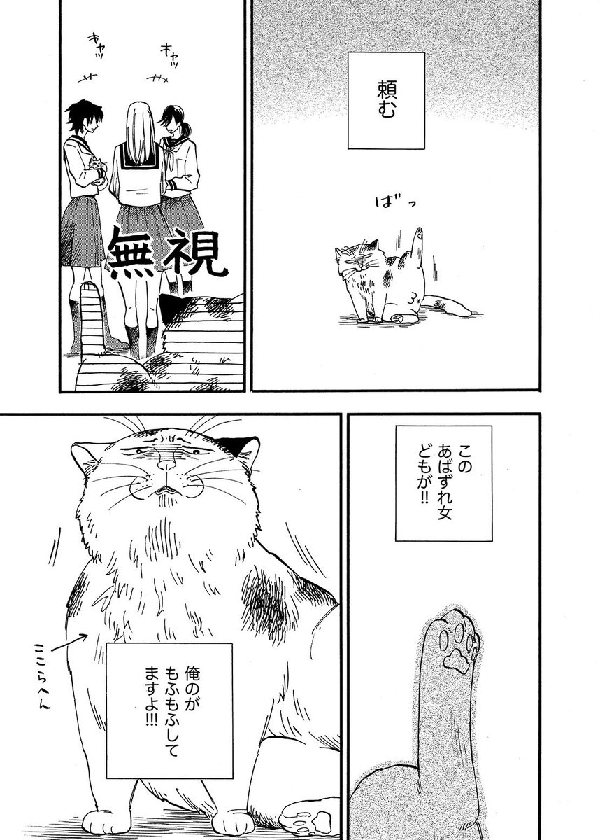 猫がブサイクだけどふぐりが立派なお話ωωω(4/4) 