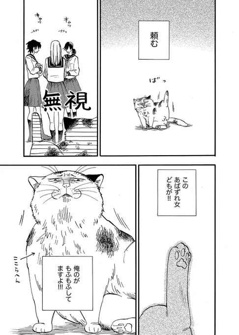 猫がブサイクだけどふぐりが立派なお話ωωω(4/4) 