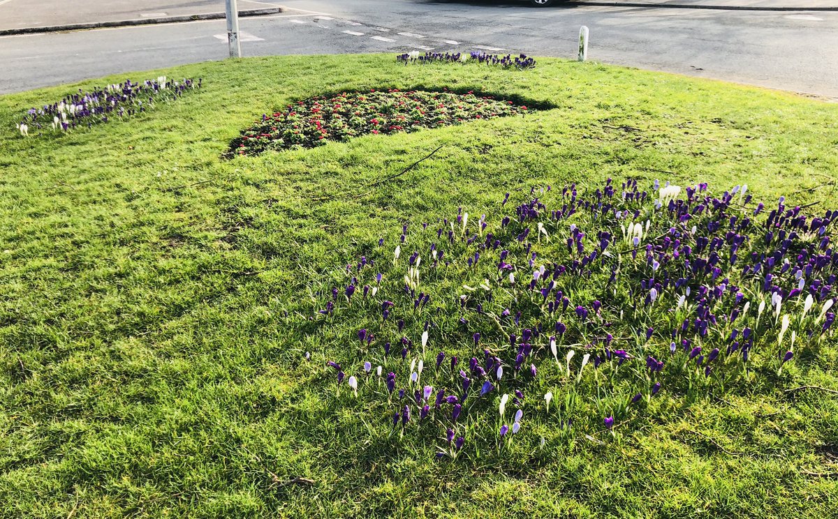 weezegee's tweet photo. Then couldnβt resist these spring flowers on The Green in Little Neston. Thank you Street care team from @Go_CheshireWest looking lovely #noweedshere π https://t.co/3aQLoq4FqV