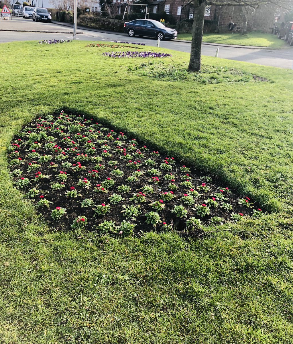 weezegee's tweet photo. Then couldnβt resist these spring flowers on The Green in Little Neston. Thank you Street care team from @Go_CheshireWest looking lovely #noweedshere π https://t.co/3aQLoq4FqV
