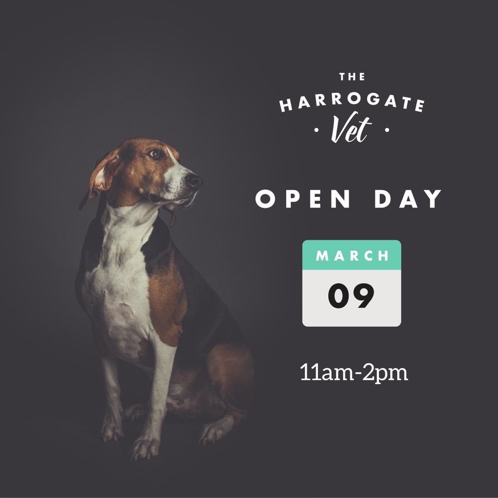 HarrogateVet's tweet photo. Super excited to be planning our Open Day and Official opening by the Mayor of Harrogate! 
Come along on Saturday 9th March to meet the Team and have a tour of the new practice! https://t.co/OiWzo1tvpE