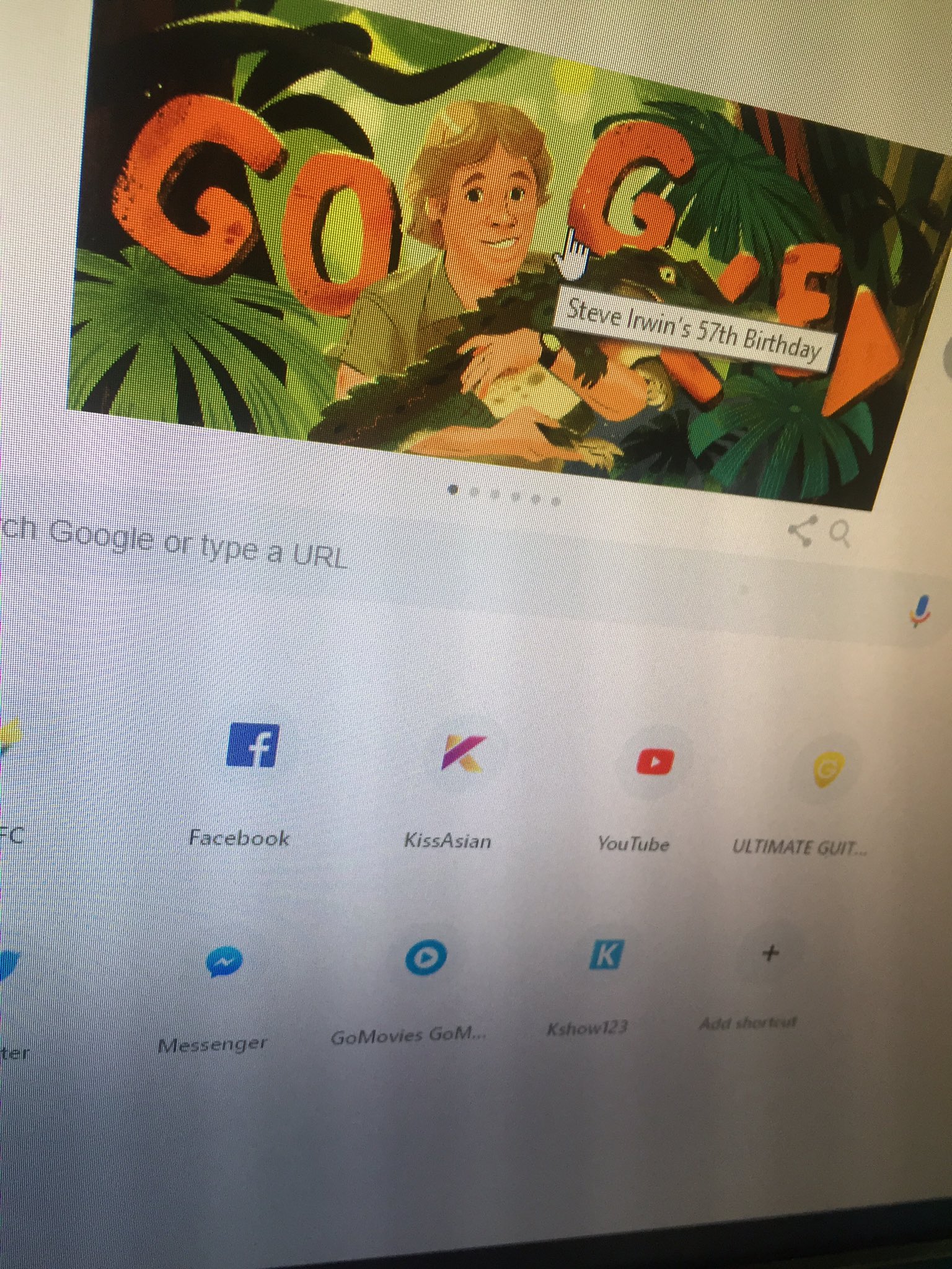 Happy Birthday Steve Irwin!!!  Binuo nya yung childhood namin ni kiya lalo na yung Animal Planet Era namn  