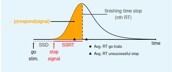 JoelBillieux's tweet photo. A more than welcome consensus guide to the stop-signal task. #stopsignal #inhibition #SSRT #horseracemodel Many thanks to Verbruggen and colleagues !
Free access to the preprint here: https://t.co/fJezlLImMn https://t.co/Xss2Eybtmf