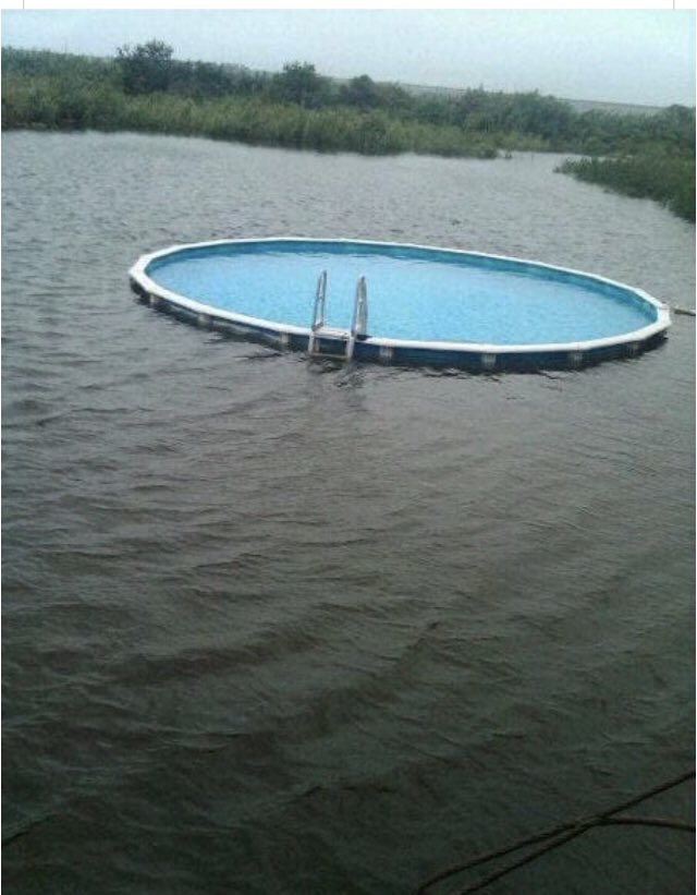 michaelheydrich's tweet photo. When enough is enough. Let’s go swimming https://t.co/NoHYdvV73Y