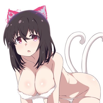 みにゃさんおはとわです!かいびょうのとわです!
#ネコの日 