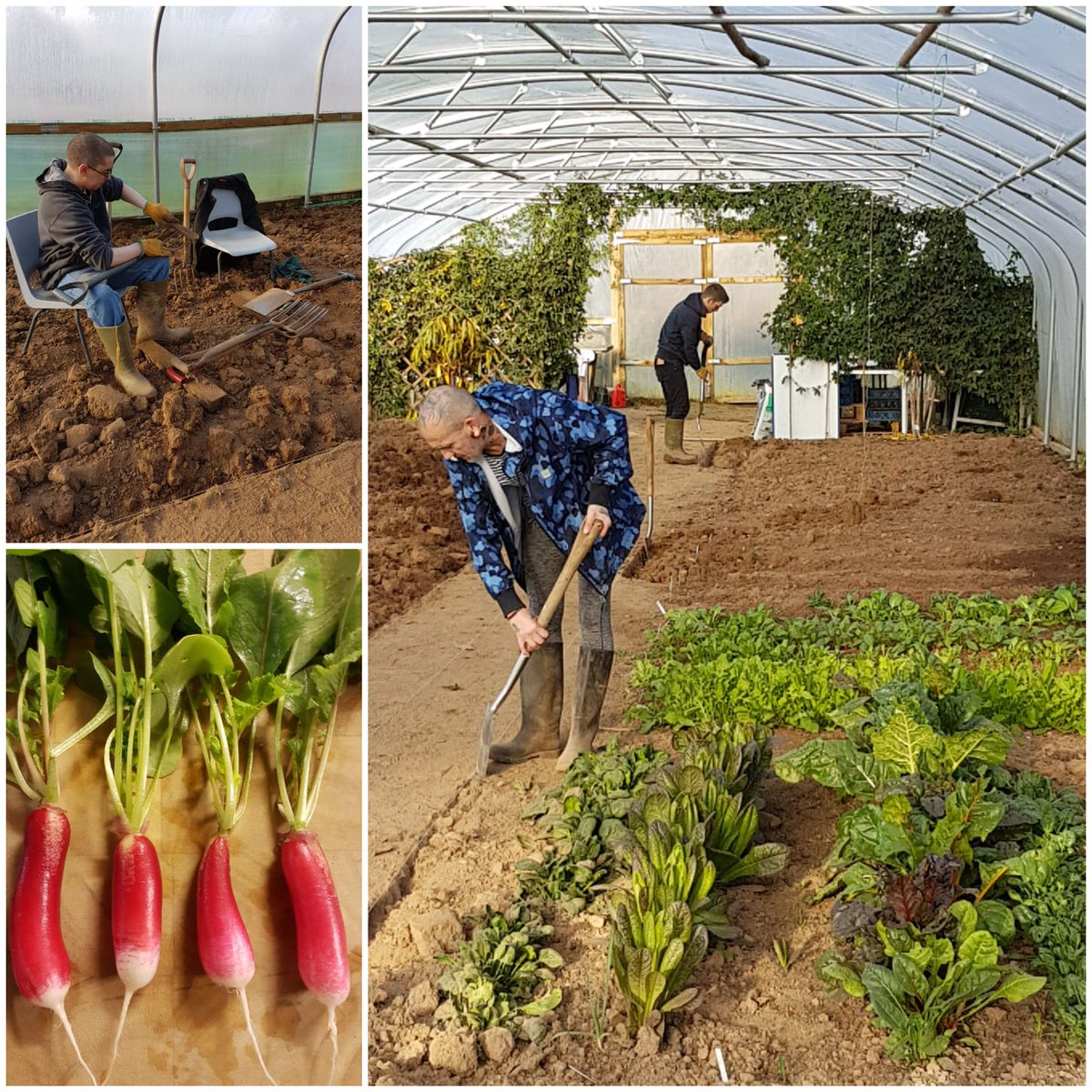 ConnectCentre's tweet photo. Back in 2016 we were supported by #bagsofhelp to build our garden project at the Dairy House, today - we are still strong and selling loads of produce to #reducehomlessness @Tesco_SouthWest  @groundworkUK https://t.co/glmxaKb7Xv 
#Elim #RootConnections #Changetheworld https://t.co/0Z1fMDz27Q
