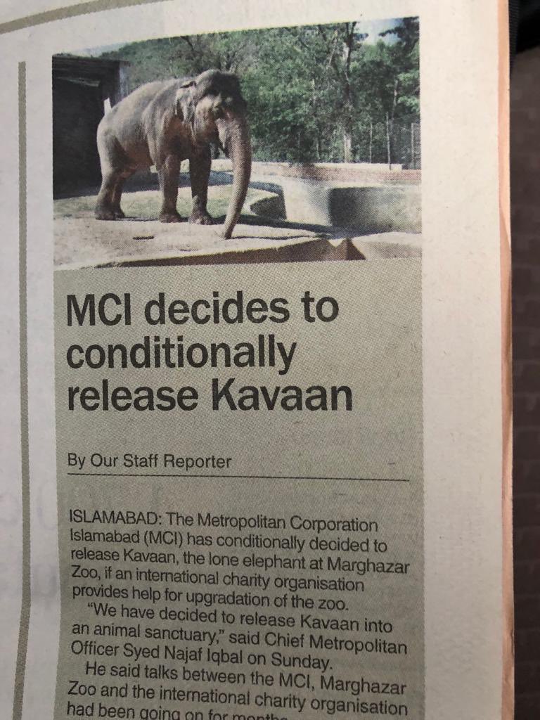 anikasleem's tweet photo. #Kaavan has no veterinarian care &amp; we do not know what his internal body has suffered due to his years of being chained &amp; poor nutritional diet #FreeKaavan #FreeTheWild are here to help .@CDA_Islamabad https://t.co/cdulW1JDWh