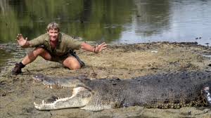 Happy Birthday Steve Irwin !  
We miss you. 