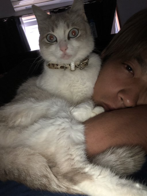 ハイサイ ひっ ちゃん ハイサイ探偵団 ひっちゃん 本名 年齢 姉弟などwiki風にまとめてみました