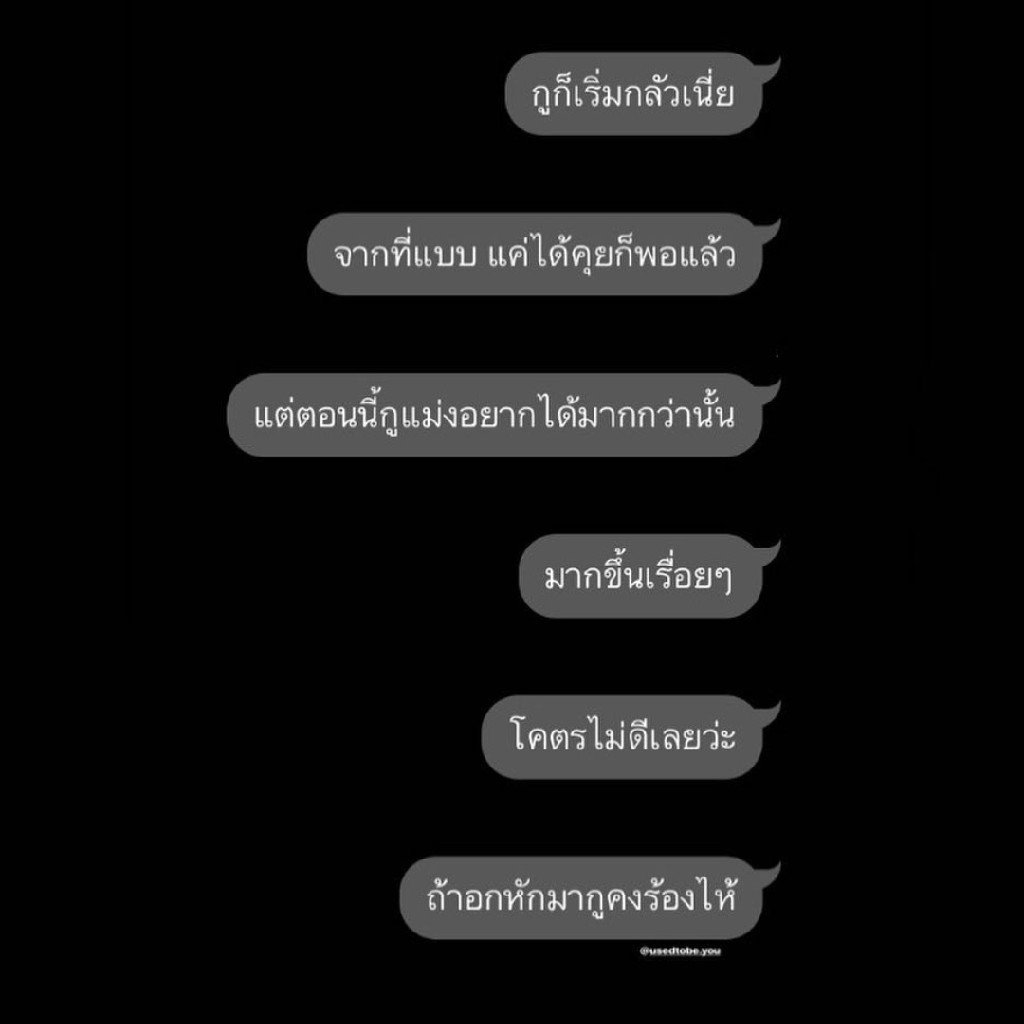 P tweet media
