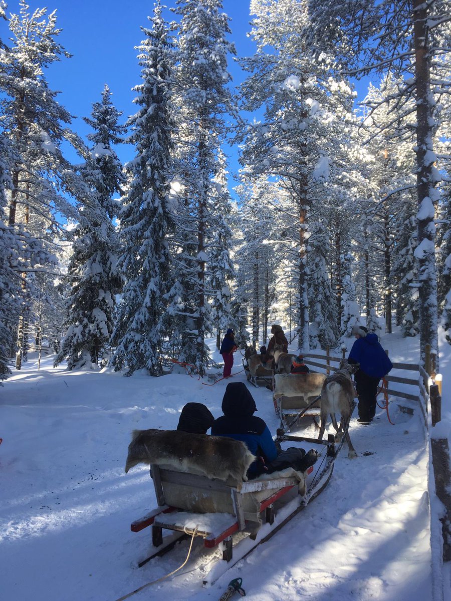 Schoolswwide's tweet photo. @QEHSchool finished off their brilliant trip with reindeer sledding, an insight into Sami culture and camping out in an igloo to watch an incredible display of the Northern lights! https://t.co/hT4KBN045L
