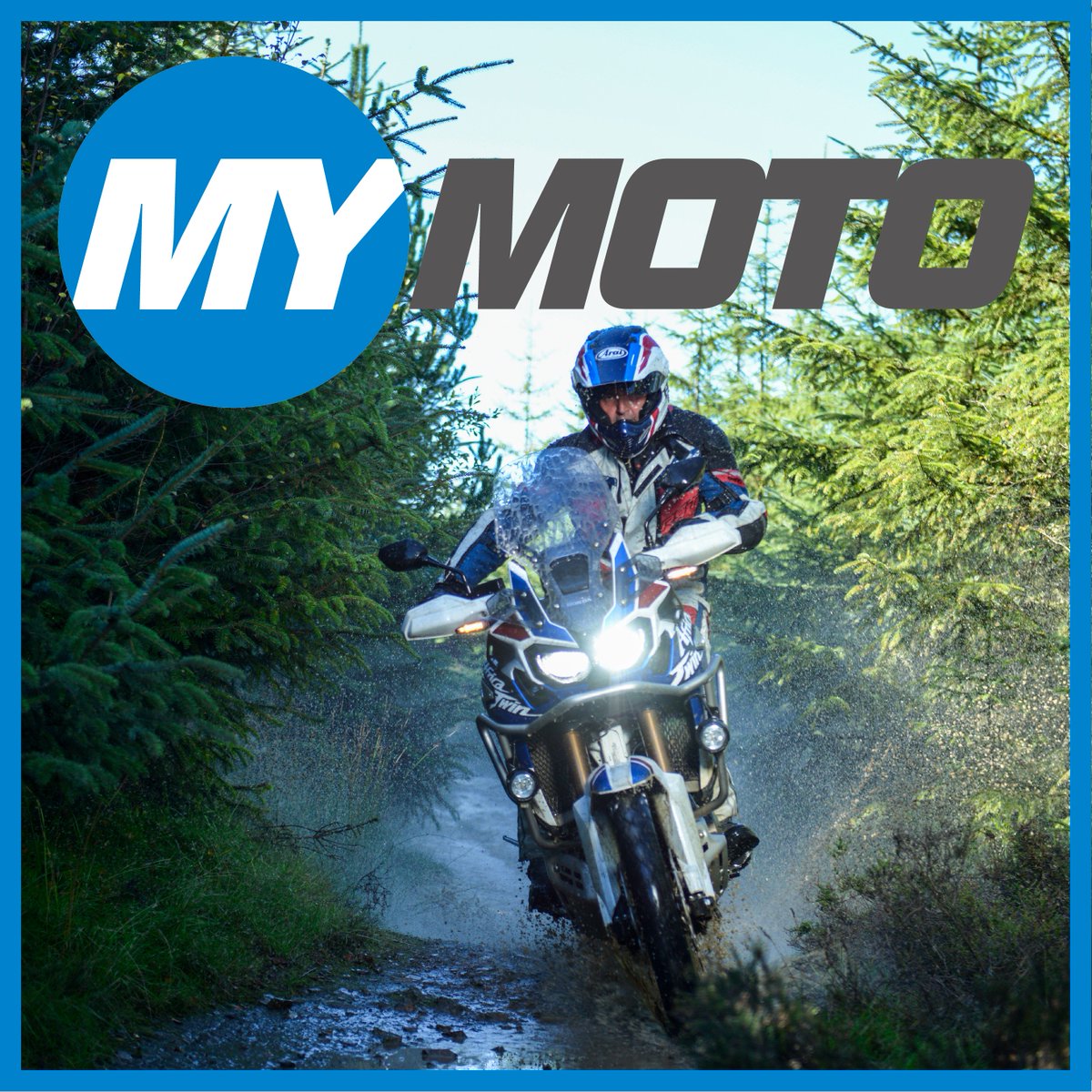 MY MOTO UK tweet media