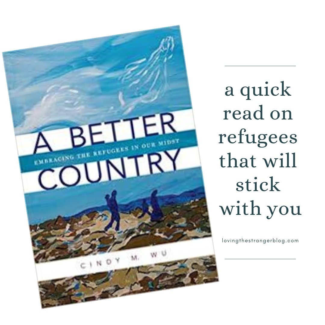 loveimmigrants's tweet photo. "This book contains great questions. I read the whole thing in an hour with time to spare, but still a few weeks later I’m mulling over things she asked." @CindyMWu @WCLBooks https://t.co/svErxB8JXB https://t.co/Bg2xc2daoF