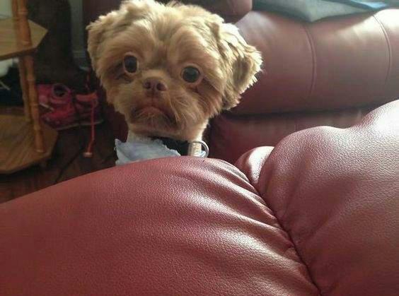 Wakambopinda mu toilet woona musina ma tissue apa uri muyenzi? ... ndakazongobuda ndisina ma socks ini. Anyone akambozviitawo izvi😂😂😂