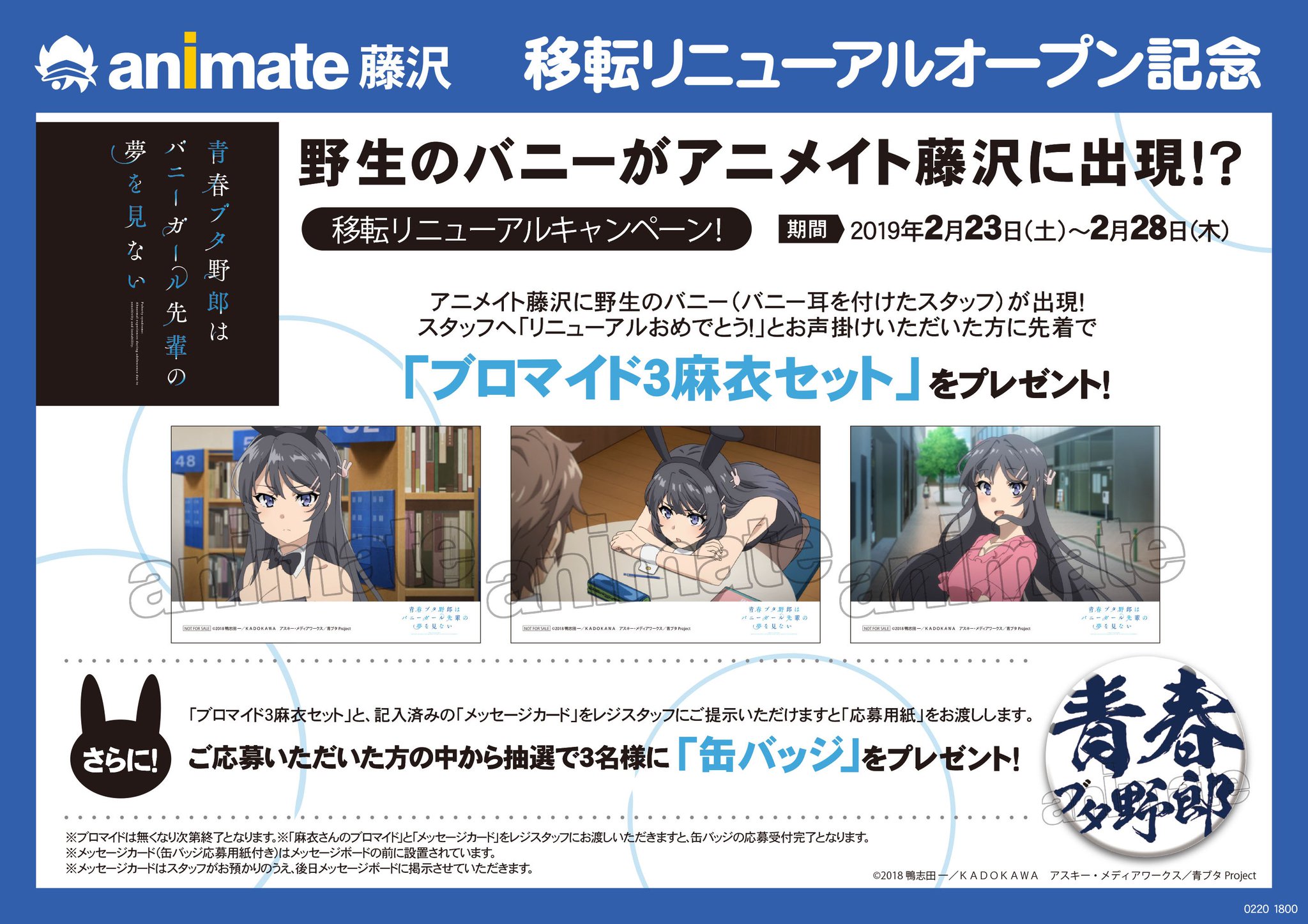 アニメイト藤沢 リニューアルオープン記念情報 やっぱり藤沢はブタ野郎だよね 青春ブタ野郎はバニーガール先輩の夢を見ない よりブロマイド3 麻衣 セットプレゼント致します 抽選で缶バッジが当たるキャンペーンも行います 詳細は告知を アニメイト藤沢 リニューアルオープン記念情報 やっぱり藤沢はブタ野郎だよね 青春ブタ野郎はバニーガール先輩の夢を見ない よりブロマイド3 麻衣 セットプレゼント致します 抽選で缶バッジが当たるキャンペーンも行います 詳細は告知を