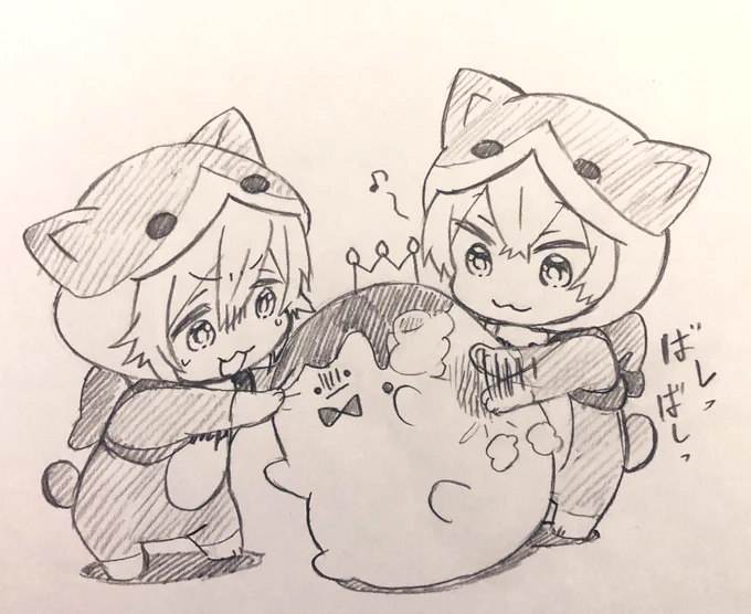 ニャンニャンニャンの日🐱 