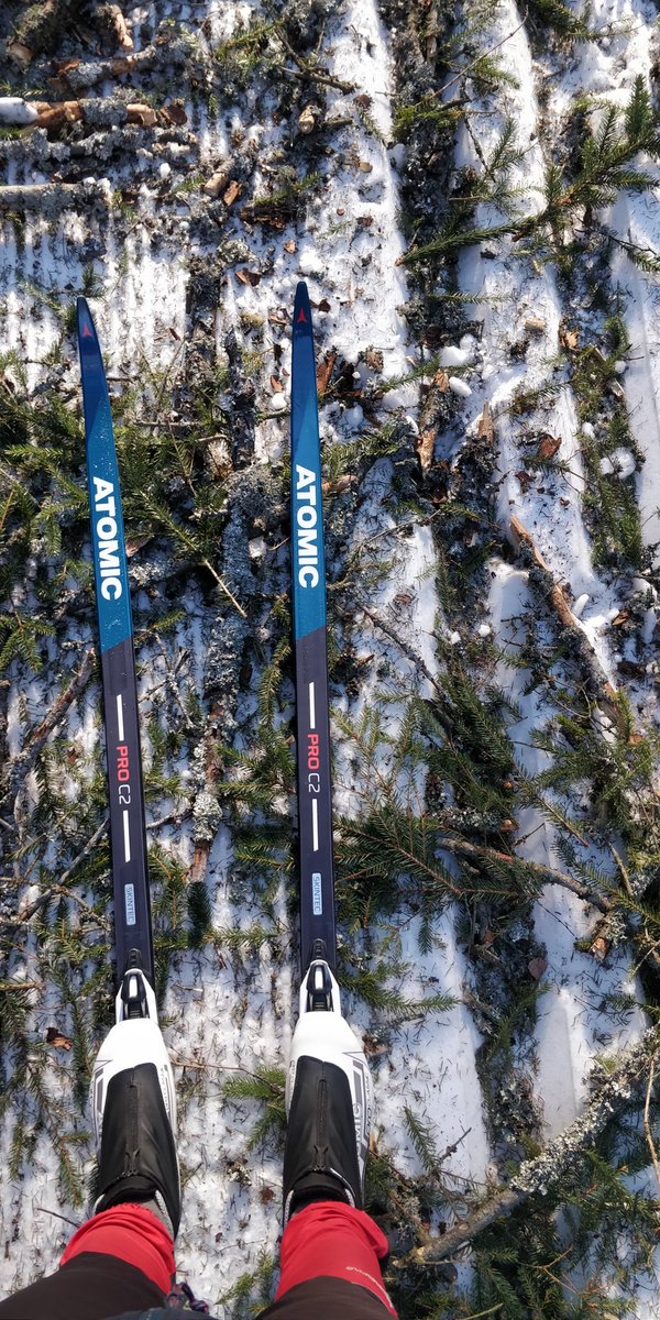 LLeppala's tweet photo. Havuja p*rkele! Taitaa olla tämän talven parhaimmat hiihtokelit etelässä ohi, melkoisen tahmeat neulasbaanat #Nuuksio ssa tänään. #omanelämänsämarjomatikainen #nuuksionationalpark #crosscountry #Seefeld2019 @VisitNuuksio https://t.co/0J40lNB1D8
