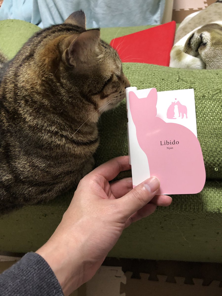 ワードローブ 眠っている 活発 猫 用 香水 - thegreenbow.jp