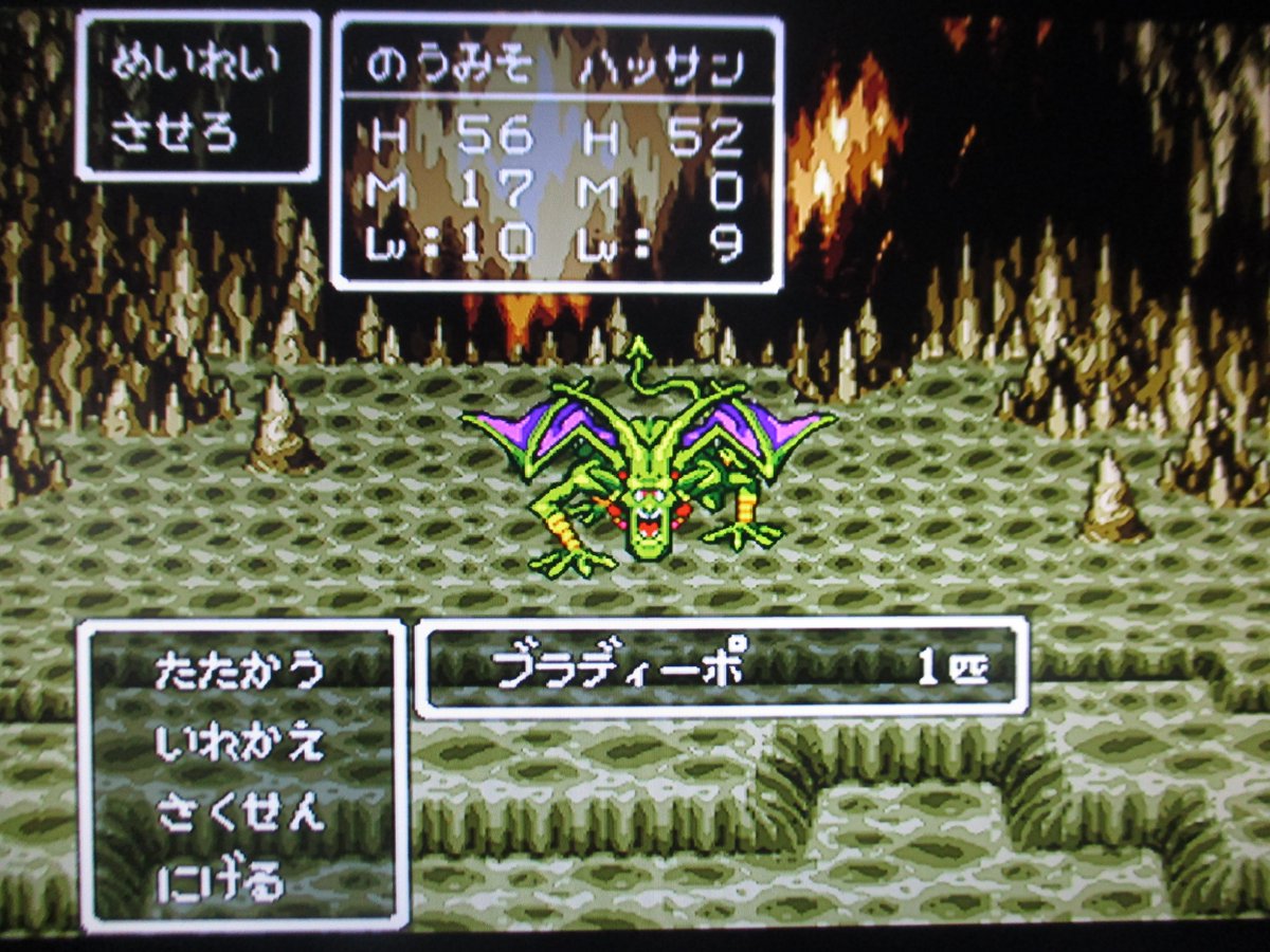 のうみそ ブラディーポ戦 ボスだが 混乱が有効 混乱すると その効果によって金縛りにあってマヒ状態になったり 逃げだしたりする ボスなのに逃げるって 笑