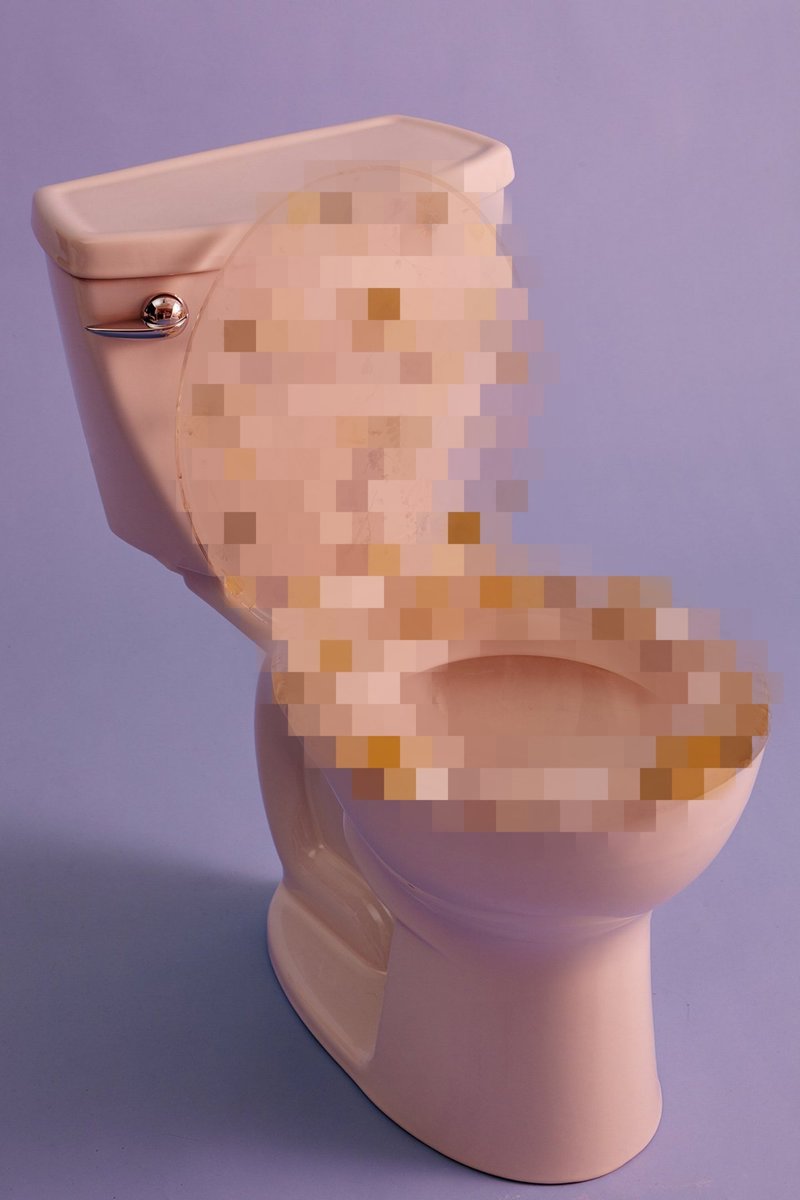 トイレ便座も可愛く 花をあしらったスケルトンな便座とかないかと挙げてみたら誤解をウンでしまったお話 Togetter
