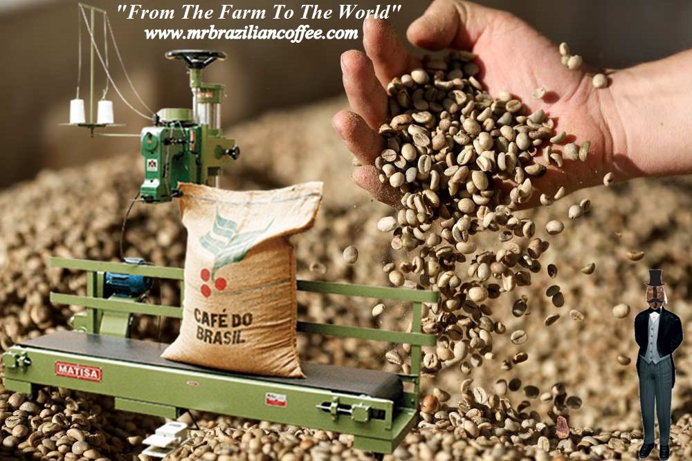 Coffeexport1's tweet photo. Stock di Caffè Brasiliano in magazzino a Napoli 🇧🇷🇮🇹🔖🏢
🇧🇷🌍Brazilian Coffee to export
Stock In Napoli /Italy Warehouse: prompt delivery!!
#green #riominas #santos #mogiana #southminas #goodcup #finecup
-Website:
https://t.co/kxA2R4r8Fi
Email: tadeu@mrbrailianoffee.com https://t.co/Azu5vSNMOk