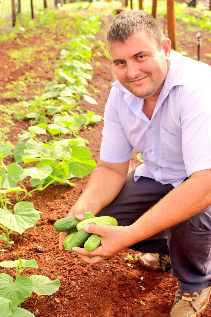 SubComrcializan's tweet photo. #EstarCerca
Ariel Fedan y su padre Tomás producen en sus chacras de #RocaChica y #Yacutinga: ananá 🍍, lechuga, tomate🍅, mandioca, cebolla de verdeo, choclo 🌽, banana🍌, cítricos🍋, palta🥑, higos, entre otros productos.
@passalacquaok
@rovira_carlos
@martaferre
@Peyerl77 https://t.co/tnPKQ3Javh