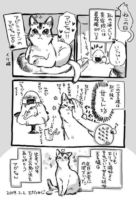 行きつけの美容院には猫の王子様がいました。 #ネコの日 