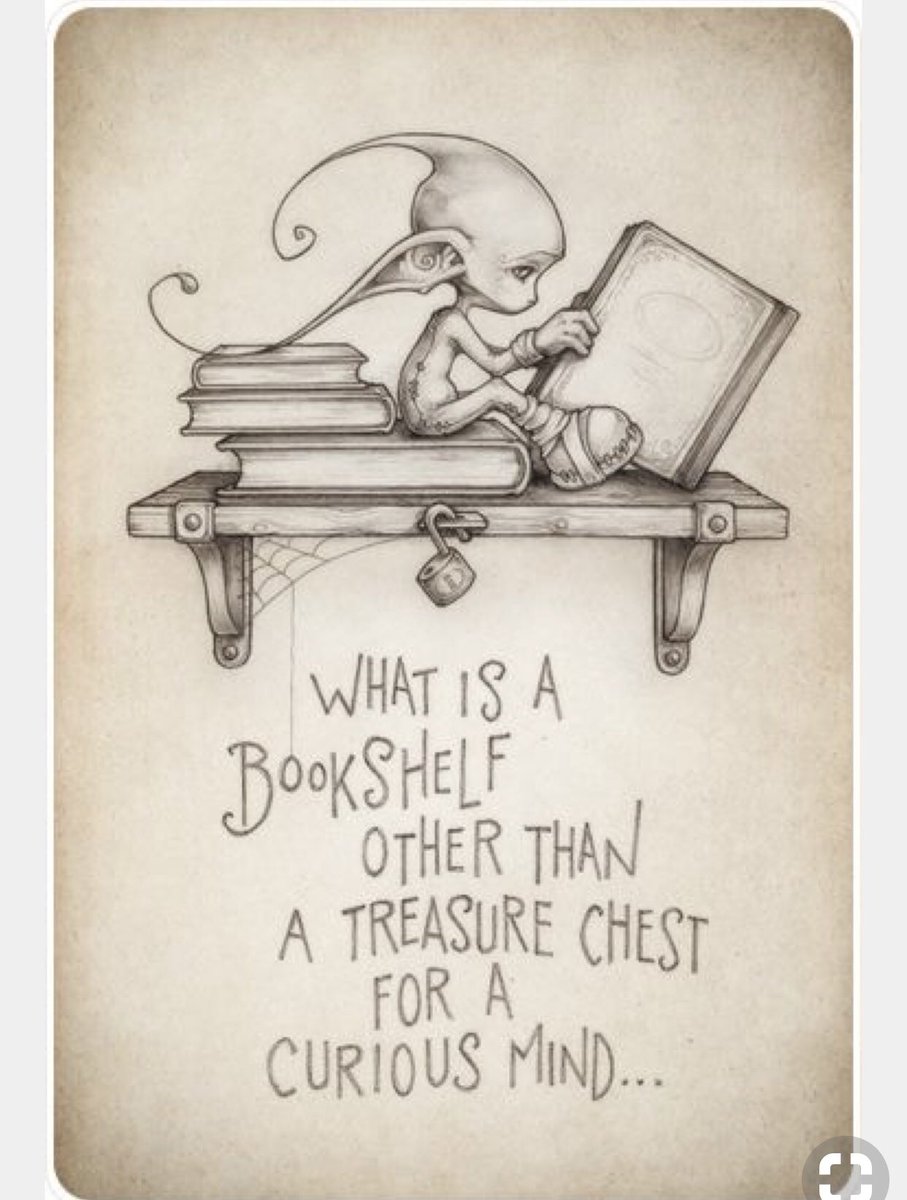 MastieShannon's tweet photo. Love this https://t.co/AmCLcVS4DU