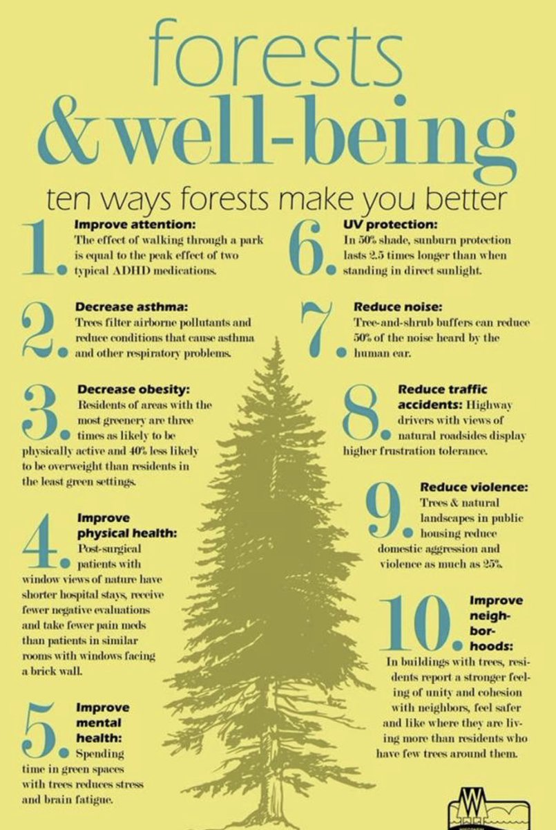 OBPeacebuilding's tweet photo. Appreciating forests today! https://t.co/GAWzgSP3df