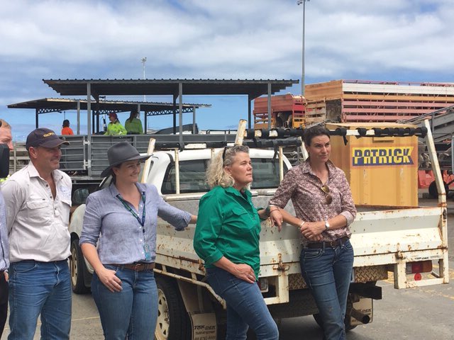 Thanks ⁦<a href="/SheepCollective/">Black Sheep Collective</a>⁩ for showing me around the Al Massilah today.  As a farmer, it was good to see first hand the inside of the ship - the water, feed and ventilation in action, and to see the sheep in their pens on board.  I hope others will take up the opportunity.