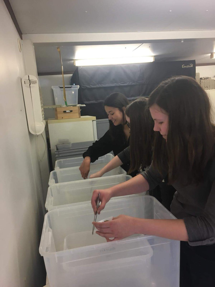MoreRadius's tweet photo. Research meets Education: students learn how to set up an scientific experiment
  #GBO_Interreg  #InterregVLANED #MoreRadius #Agrobiotechnologie #insects   @ThomasMoreBE https://t.co/mkFRJVT16D