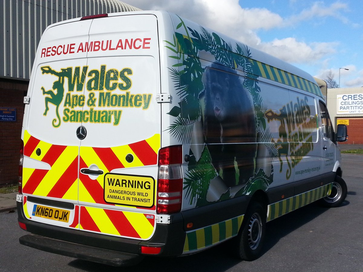 SxSwansea's tweet photo. This weeks #FlashbackFriday goes to @walesape whos vehicle graphics we designed &amp; produced a while back. Based in the beautiful surroundings of @BreconBeaconsNP Graham, Jan &amp; team do a fantastic job rescuing primates from all over Europe providing them with a loving &amp; caring home https://t.co/ESPIpeuATJ