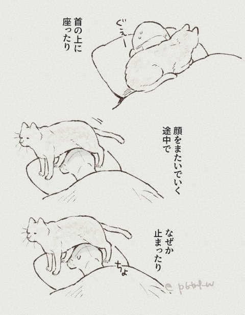 ねこのひらしいので、うちの猫もすこし。
心配してるというよりは、単に一緒に寝られる時間が長くて嬉しかった模様 