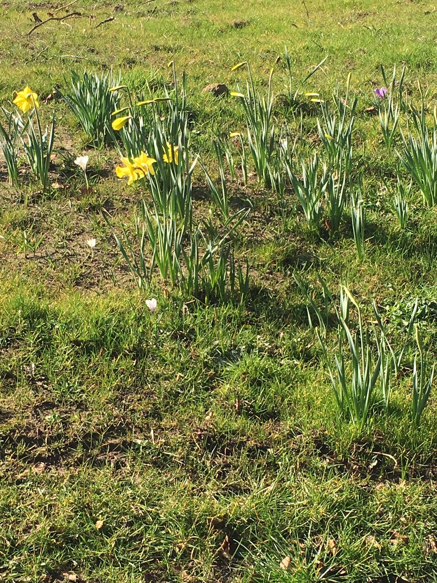 Feeling like Spring! #february #springlike #Derbyshire #countryside ashbourneshow.co.uk