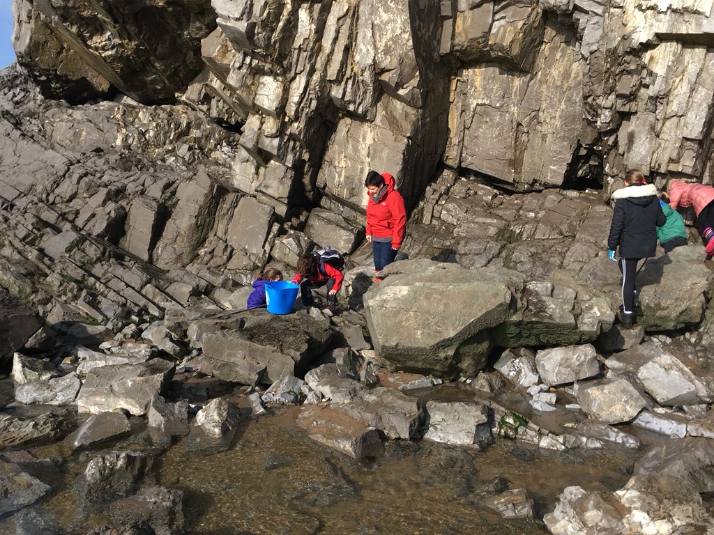 crwysprimary's tweet photo. Special thanks to Gower Mp @ToniaAntoniazzi for coming along to help! @sascampaigns @SwanseaCouncil @Maths_Tree #PlasticFreeSchools #topMP https://t.co/p1C4gZHFEe