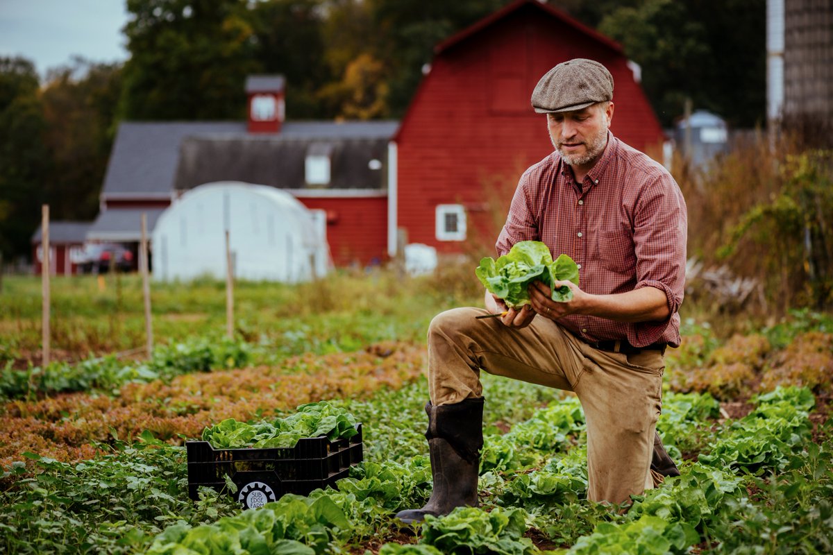 SubEdge's tweet image. It national CSA day! Find a local CSA near you: ctnofa.org/CSAs.htm