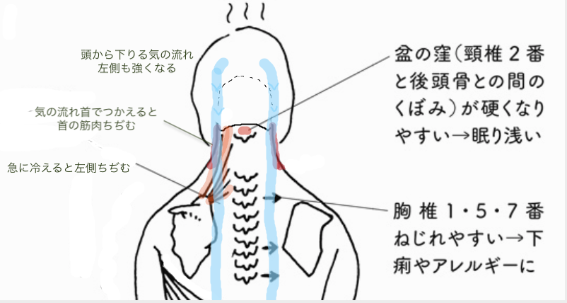 身がまま整体 気響会 در توییتر 身がままリポート18 2 22 1 2 いよいよ春 花粉舞い散るころ となり 頭から下りる気の流れ 左側も強くなってきました この時季 頭から足へ向かう体表の流れが最大になります 首や肩の周りで流れがつかえると眼 鼻 喉や皮膚 身がまま整体 気響会 در توییتر 身がままリポート18 2 22 1 2 いよいよ春 花粉舞い散るころ となり 頭から下りる気の流れ 左側も強くなってきました この時季 頭から足へ向かう体表の流れが最大になります 首や肩の周りで流れがつかえると眼 鼻 喉や皮膚
