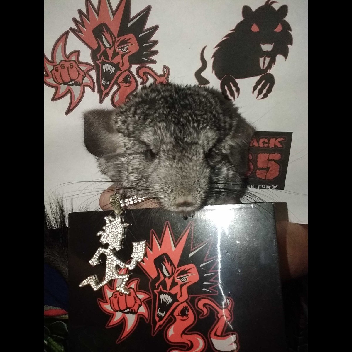 MZHOLLYW00D's tweet photo. @icp @therealicp #fff #icp #fearlessfredfury #FREDDYSHERE #freddyday #fearlessfredfriday #fiteback https://t.co/2qzKncCaFD