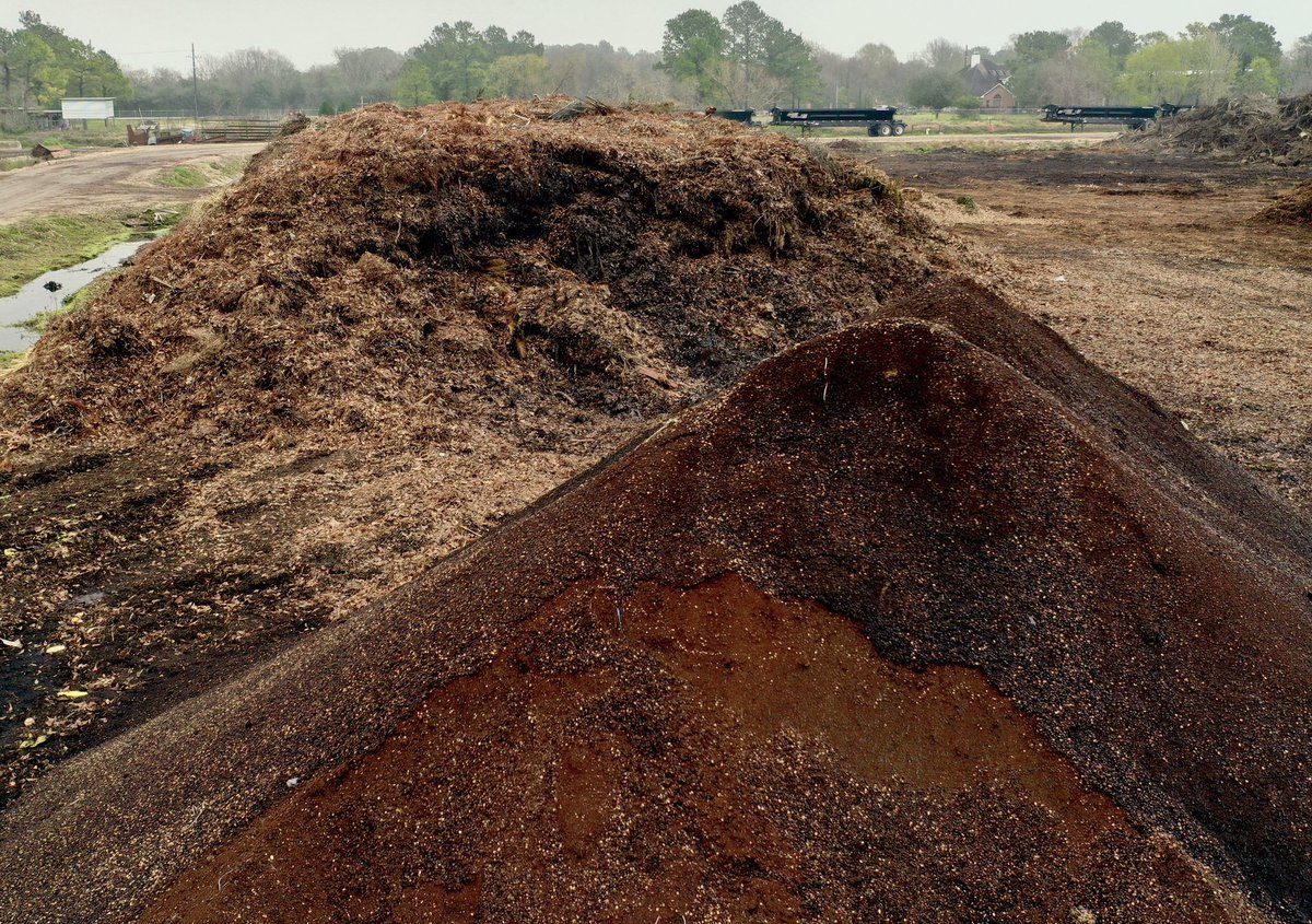 leafmoldcompost's tweet photo. I know I look ugly right now. Just wait until my transformation starts happening. In the meantime, I’m feeling a little hungry and I’m going to munch on some grass clippings, leaves, fruits and veggies. Maybe a side of manure, too! #leafmold #compost #houston #TGU https://t.co/4ilW45vNcc