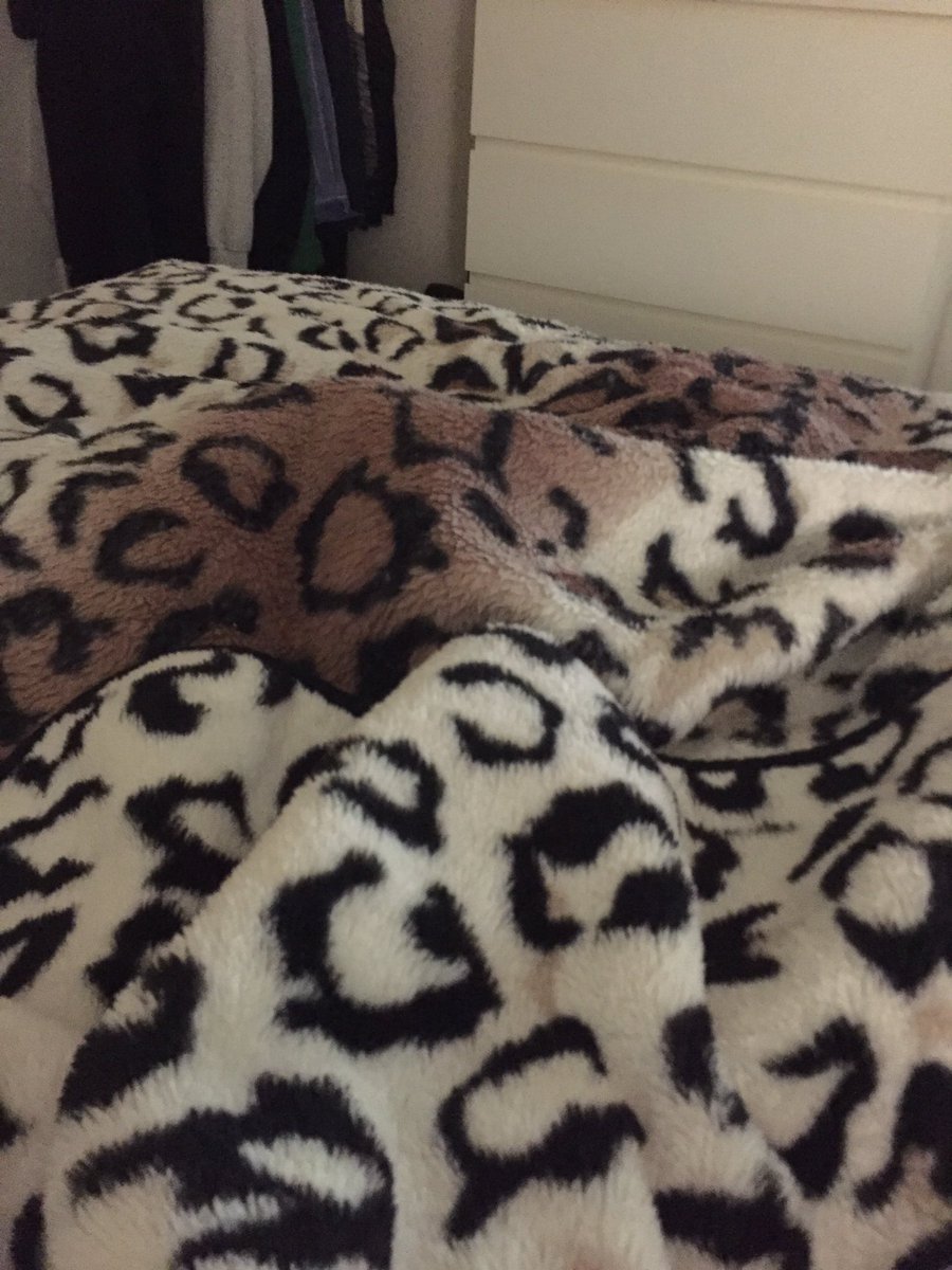 She wiz wondering where a was then the blanket started washin it’s self 😹😹