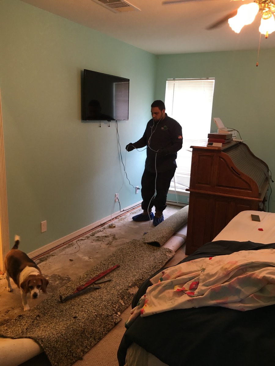 onesourceplumb1's tweet photo. Water Leak Locate at this Denton Texas home. Mr Accurate is making sure he pin points the leak. #freestimates #onecallaway #straighttothesource #leaklocate👨‍🔧👨‍🔧🔧🔧💪💪 https://t.co/Fas42MJS2y