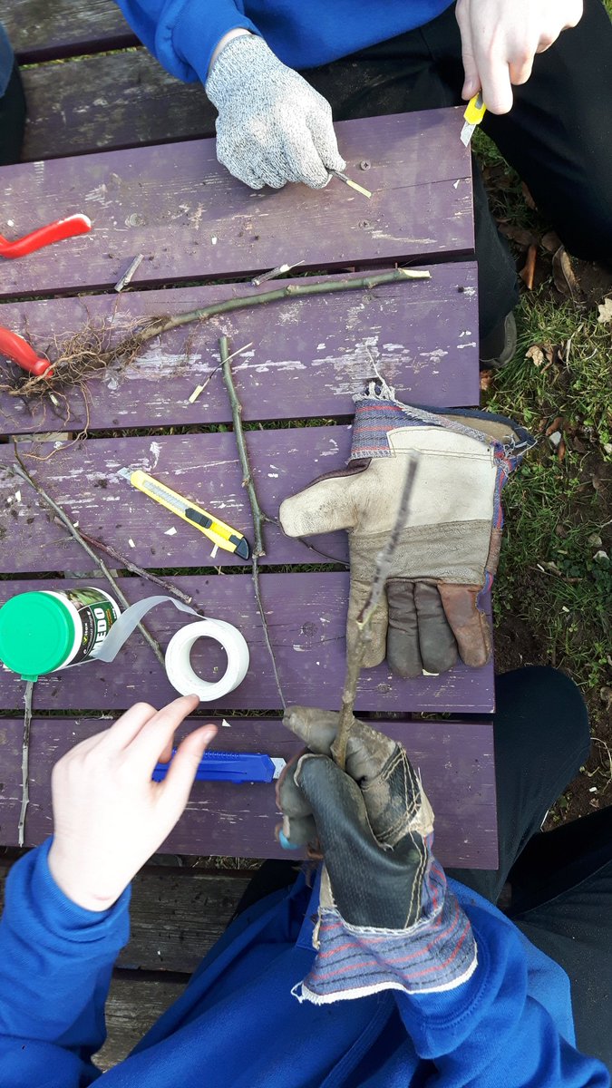 farmerjonesy's tweet photo. Hard graft // HUGE thank you to @Nairnsgreenhive for hosting our amazing grafting session for our Masterclass - can't wait to see these apple trees grow! Inspiring stuff & thoroughly enjoyed the 17 degree sunshine too! // #farmerjonesacademy #treegrafting https://t.co/Lu4VHjFmsi