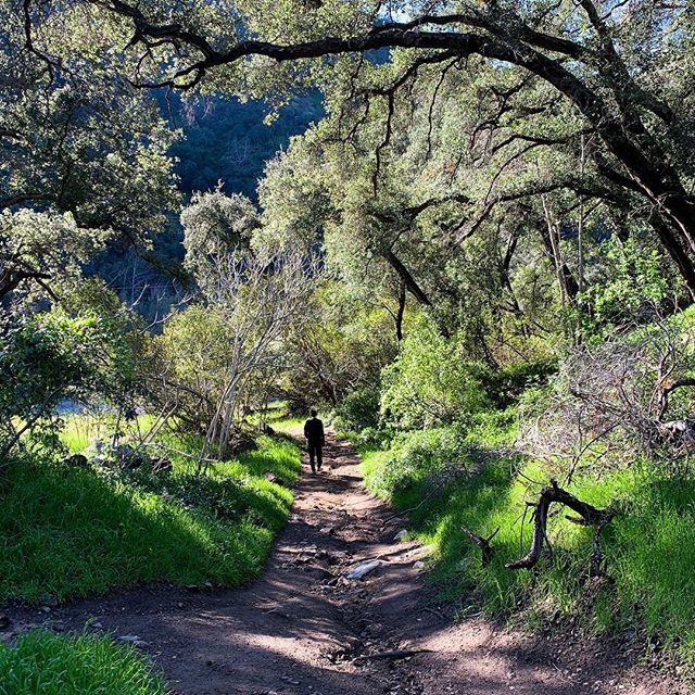 BeckyKeife's tweet photo. Sometimes the most productive thing you can do is make space for your feet to walk, your mind to wander, and your soul to breathe.
#thisiswealth https://t.co/z8gyTH8xKX https://t.co/EPtAsNMl0u