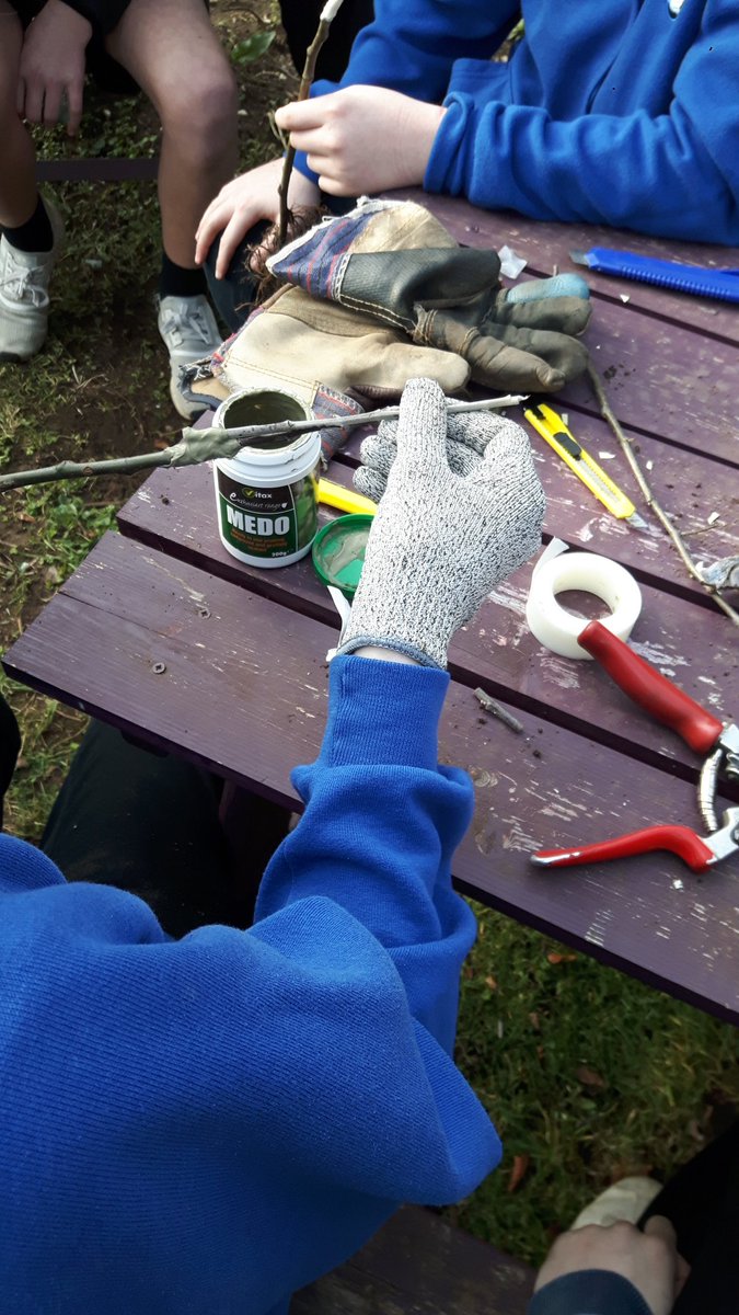 farmerjonesy's tweet photo. Hard graft // HUGE thank you to @Nairnsgreenhive for hosting our amazing grafting session for our Masterclass - can't wait to see these apple trees grow! Inspiring stuff & thoroughly enjoyed the 17 degree sunshine too! // #farmerjonesacademy #treegrafting https://t.co/Lu4VHjFmsi